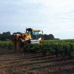 Machine à vendanger, vignes, Domaine Aubert